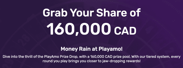 Payments & Withdrawal Playamo Casino